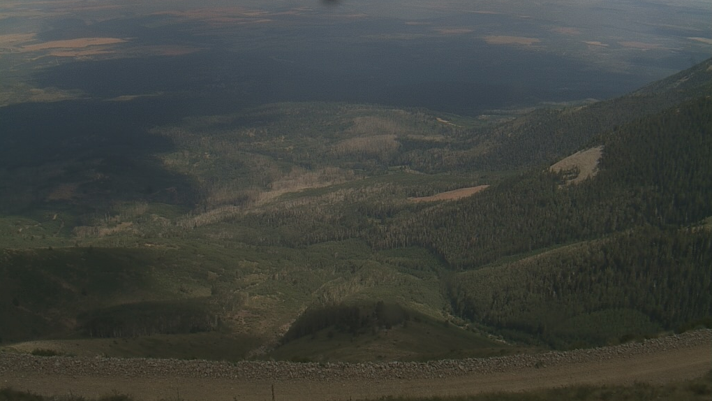 Static image of Abajo Peak
